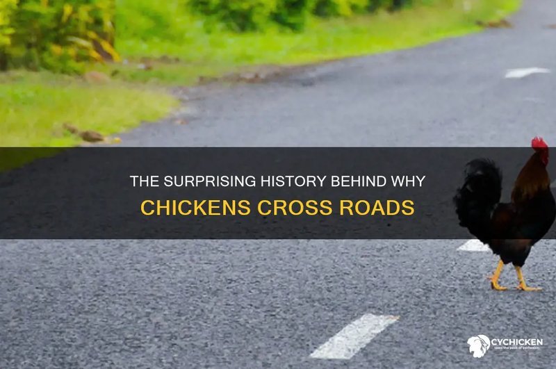 Descubre las emocionantes aventuras de Chicken Road en España en línea